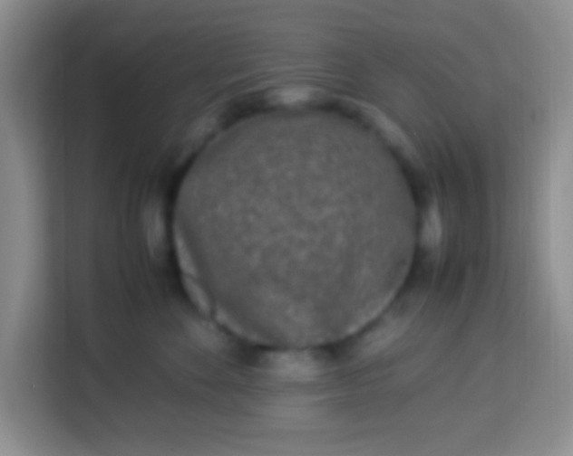 X0000113290524200910051103