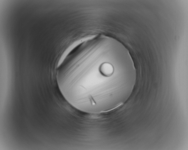 X0000113290528200910051103