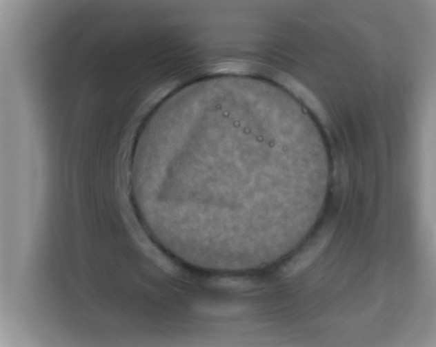 X0000113290529200910051102