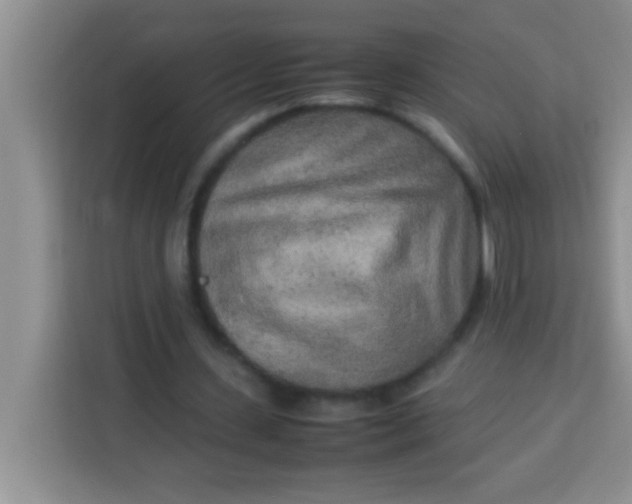 X0000113290531200910051102