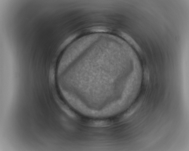 X0000113290533200910051102