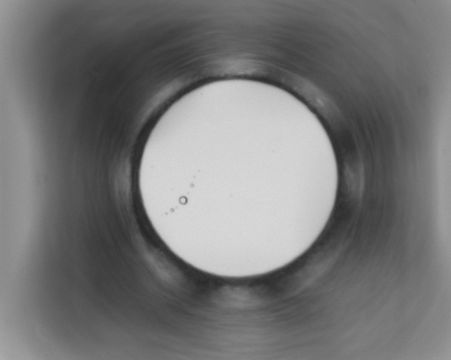 X0000113290534200910051102