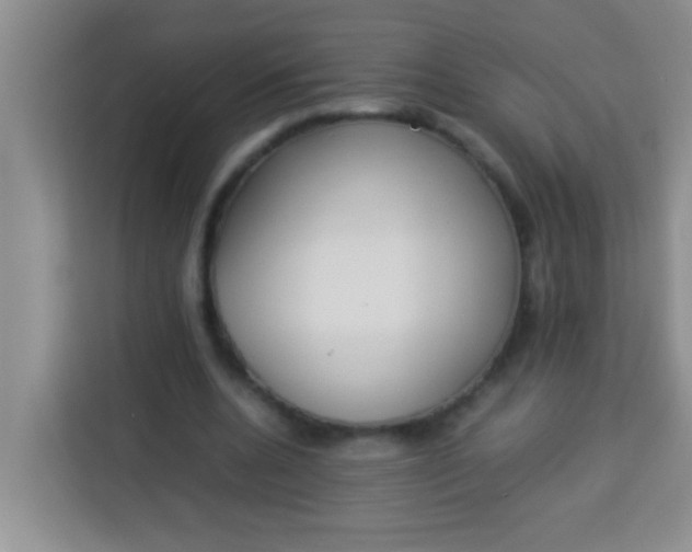 X0000113290536200910051102