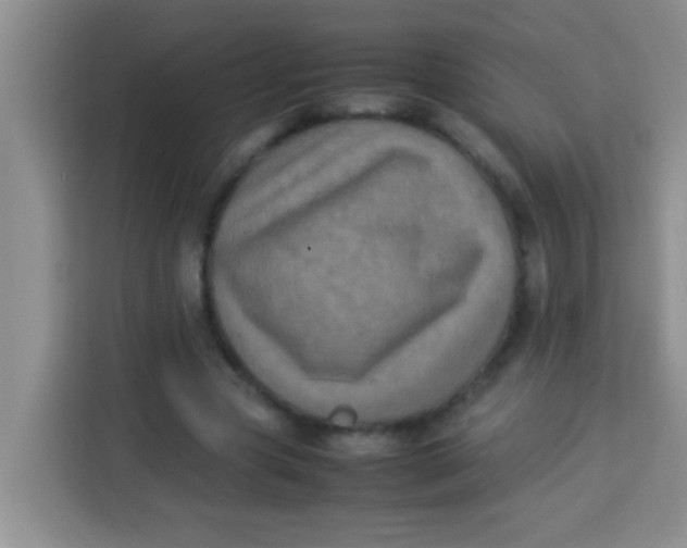 X0000113290537200910051103