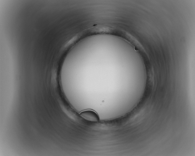 X0000113290538200910051103