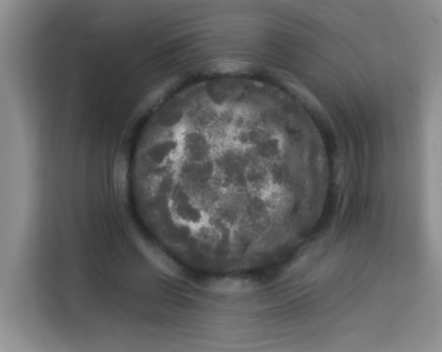 X0000113290542200910051103