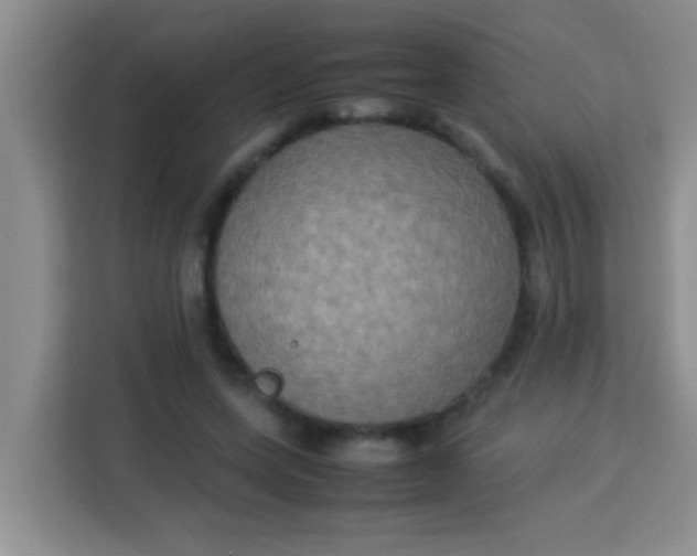 X0000113290543200910051103