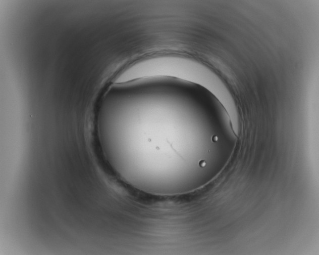 X0000113290544200910051103