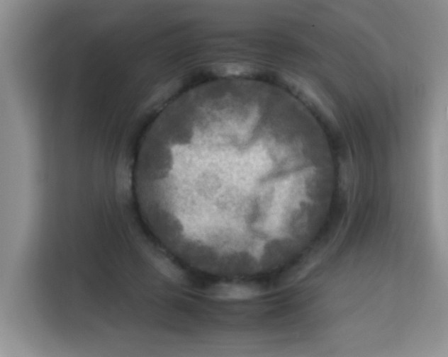 X0000113290545200910051103
