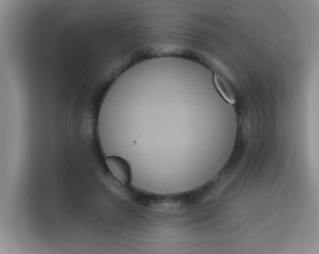 X0000113290546200910051103