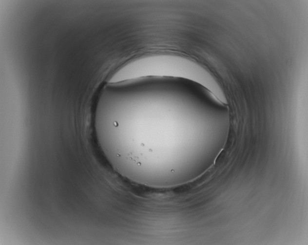 X0000113290548200910051103