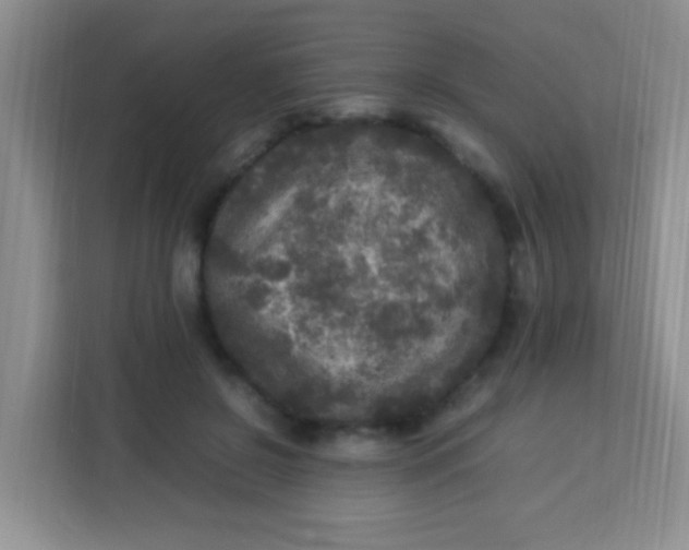 X0000113290550200910051103