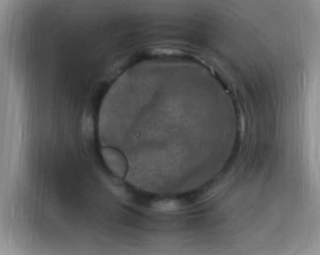X0000113290551200910051103