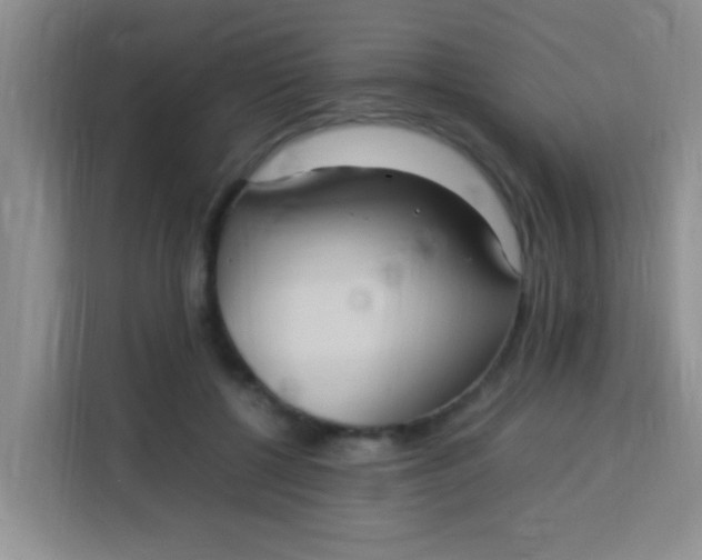 X0000113290552200910051103
