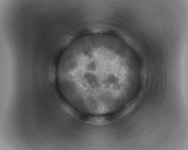 X0000113290554200910051103