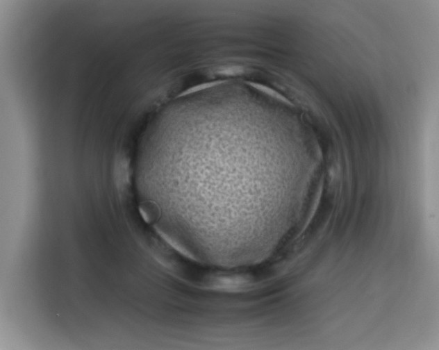 X0000113290555200910051103