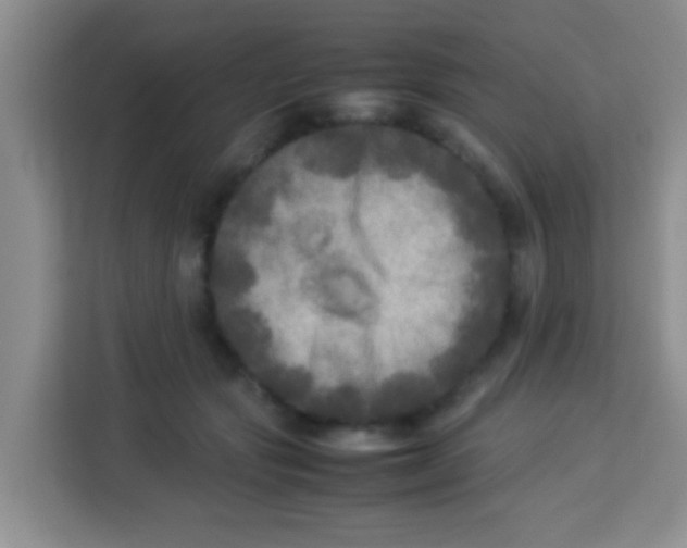 X0000113290557200910051103