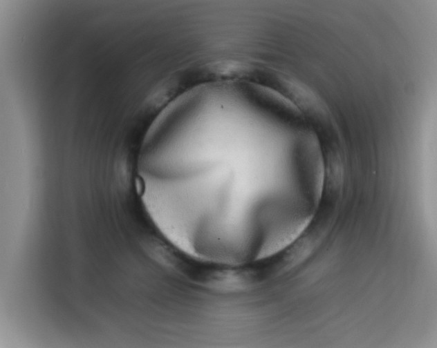 X0000113290558200910051103