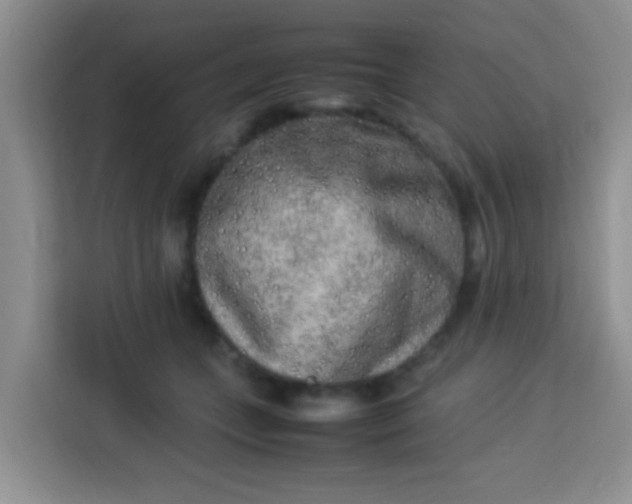 X0000113290559200910051103