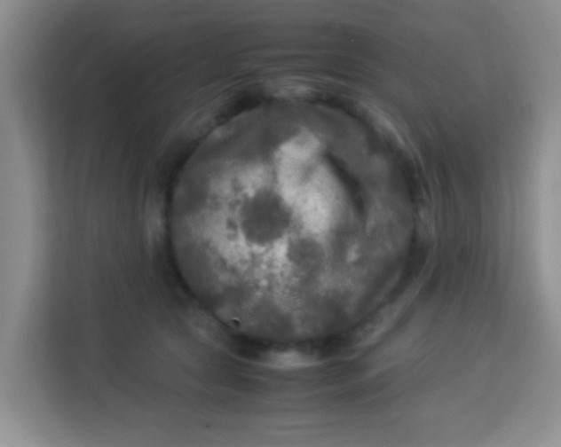 X0000113290561200910051103