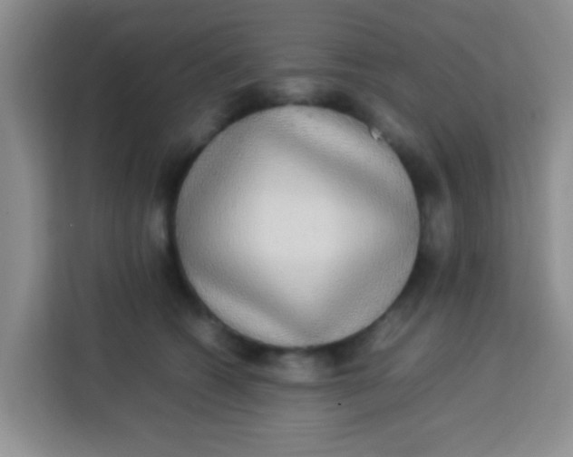 X0000113290562200910051103