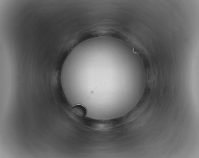 X0000113290563200910051103