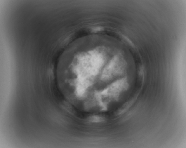 X0000113290565200910051103