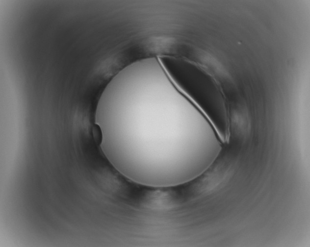 X0000113290566200910051103