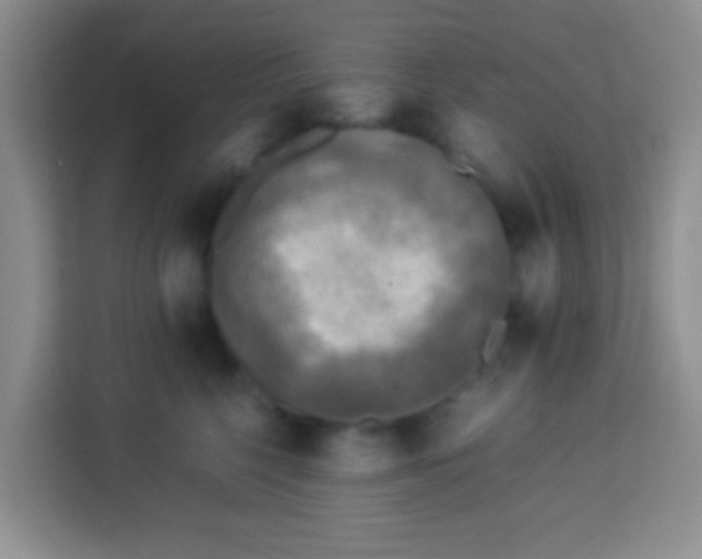 X0000113290568200910051103