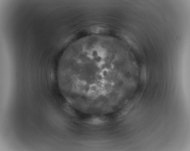 X0000113290569200910051103