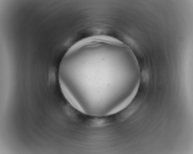 X0000113290570200910051103