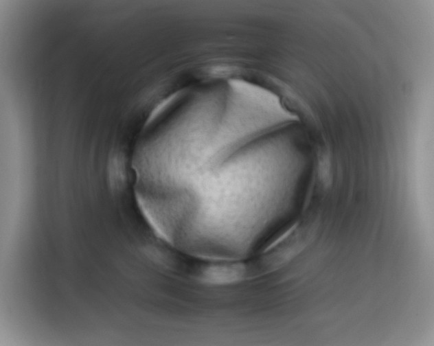 X0000113290571200910051103