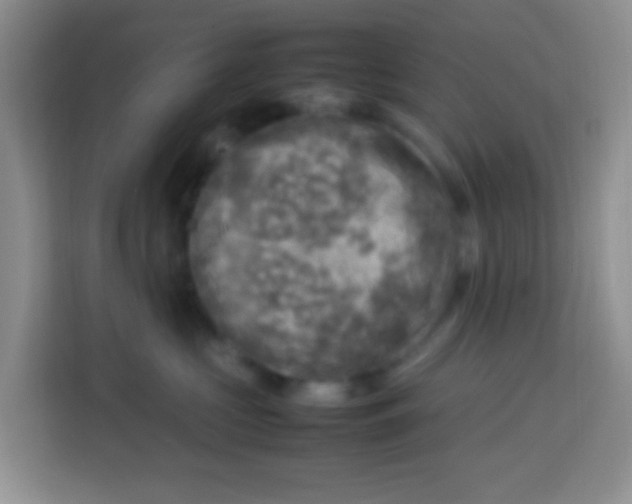 X0000113290573200910051103