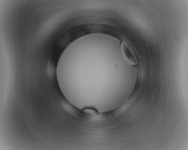 X0000113290574200910051103