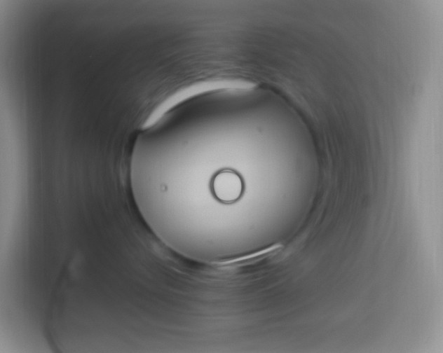 X0000113290576200910051103