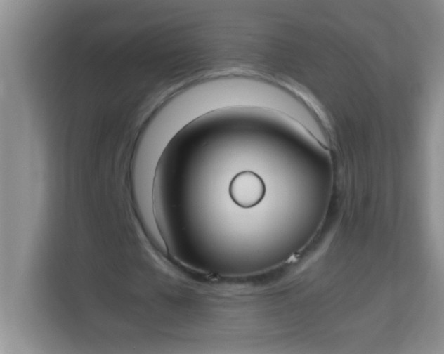 X0000113290577200910051102