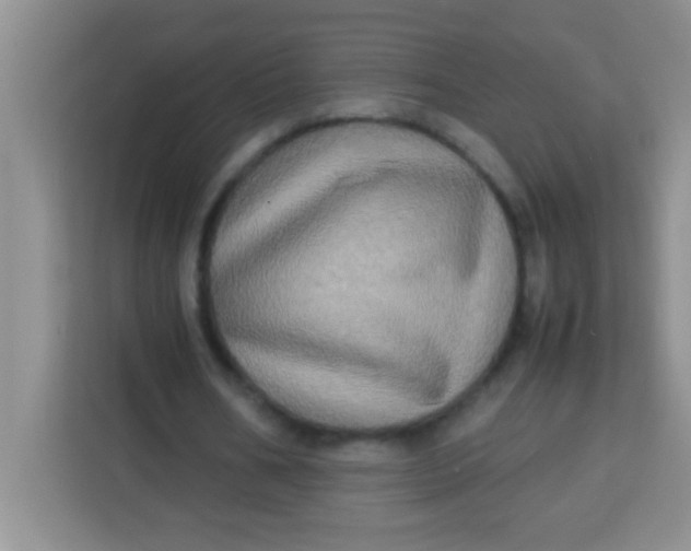 X0000113290578200910051102