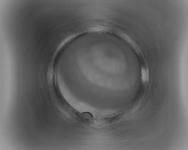 X0000113290579200910051102