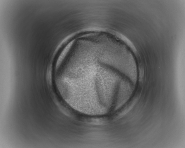 X0000113290580200910051102