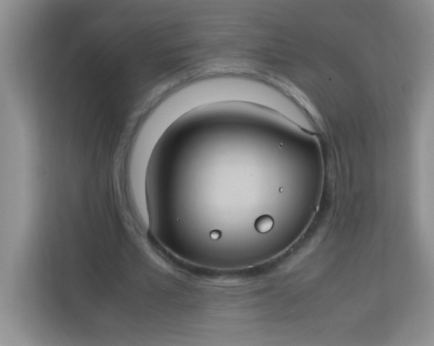 X0000113290581200910051102