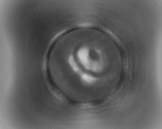 X0000113290583200910051102