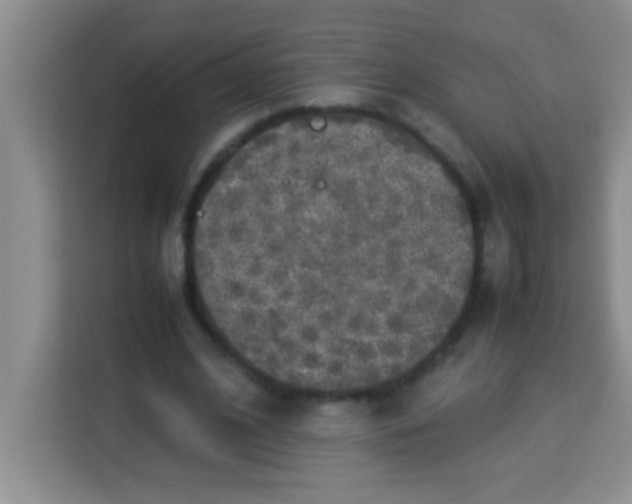 X0000113290584200910051102