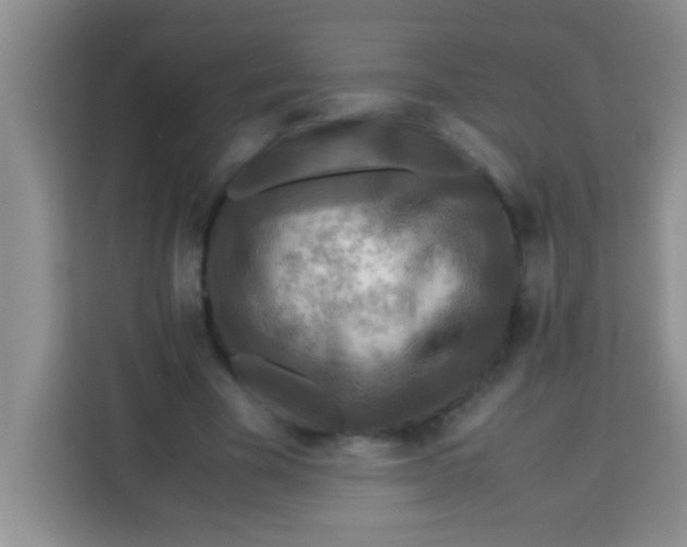 X0000113290585200910051102