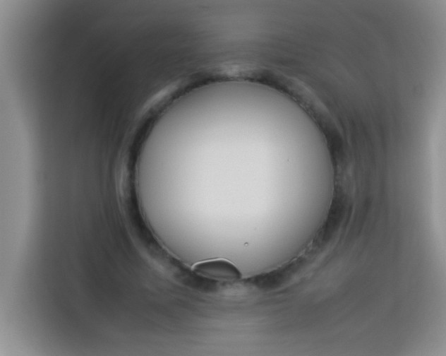 X0000113290587200910051102