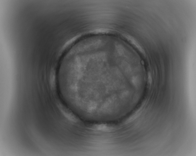 X0000113290588200910051102