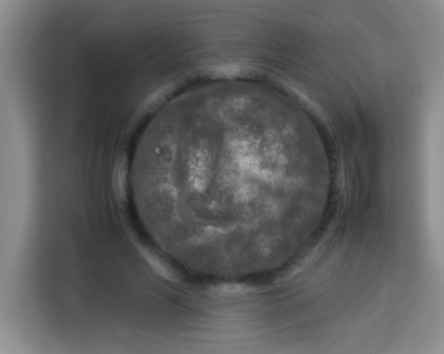 X0000113290590200910051102