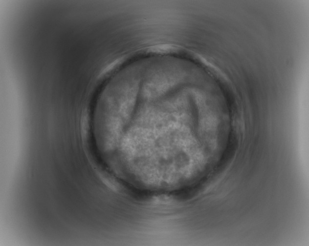 X0000113290591200910051102