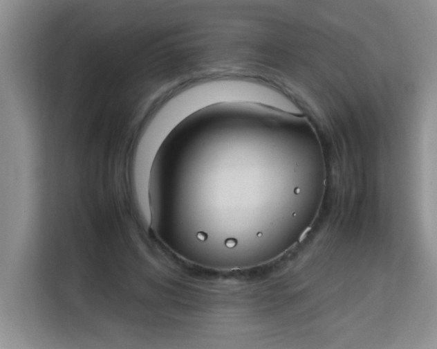 X0000113290592200910051102