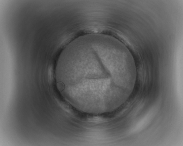 X0000113290594200910051102