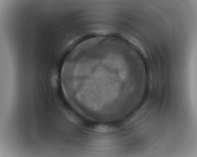 X0000113290596200910051102